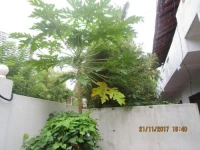 Coconut Surf Inn 1*