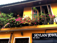 Bouganvila Guest