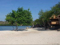 White Sandy Beach Menjangan
