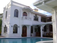 The Dolphin 