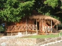 The Bearded Monkey 3*