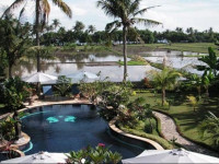 Sawah Lovina
