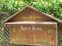 Bukit Raya Guesthouse