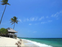 Trikora Beach Club