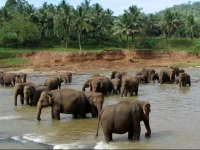 Aarya hotel Kegalle 2*