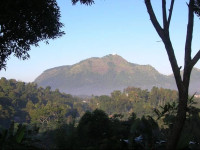 Walauwa Guest House Gampola