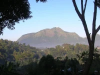 Walauwa Guest House Gampola 2*