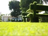 Organic Villa 