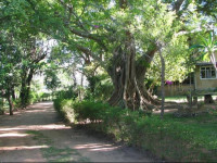 Upies Folly Holiday Bungalow Habarana