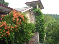 Hillside Holiday Home Kandy 2*