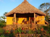 Totoco 2*