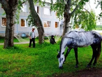 Карелия парк-отель 