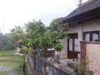 Dukuh Village Homestay 