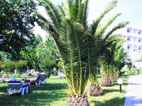 Mitsis Faliraki Beach