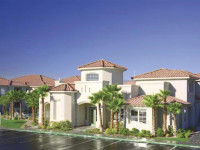 Desert Paradise Resort