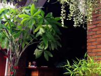 House of Zaza Zizi