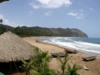 Pui Pui Lodge 