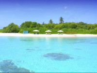 Local Island Inn