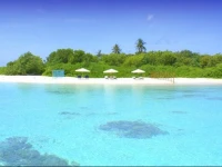 Local Island Inn 