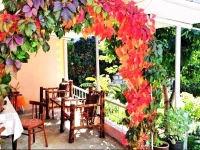 Ashot &amp; Gohar B&amp;B 2*