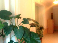 Evmary Guest House