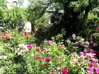 Artush &amp; Raisa B&amp;B Guest House 3*