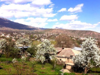 Nataly Guest House
