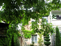 Shushan B&amp;B Guest House