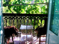 Karson Guest House