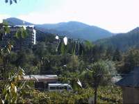 Borjomi Likani Homestay