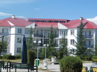 Bazaleti Lake Hotel