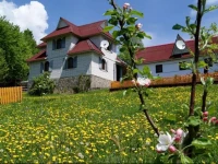 Rakhiv Plai 