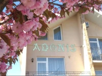 Adonis 3*