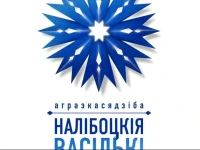 Usadba Nalibokskie Vasilki / Усадьба Налибокские Васильки 
