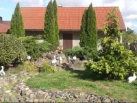 Alexandr Holiday Home 3*