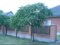 Usadba Svetlye Rosy / Усадьба Светлые Росы 3*