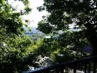 Эмили гостевой дом 5*