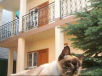 Elis guest house (Shevchenko 92)