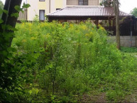 Ray Prussii Guest House