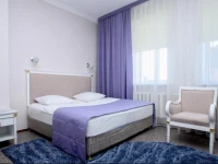 Отель Странник 3*