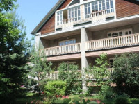 Red Dog Hotel