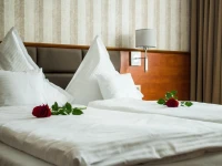 Vega hotel 3*