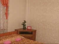 Апельсин хостел на Сибирском Тракте 3*
