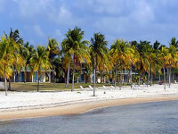 El Colony