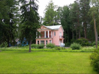 Cottages in Repino