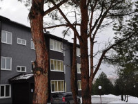 Greenpark hotel