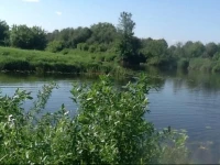 Дом Анны у реки гостевой дом 3*