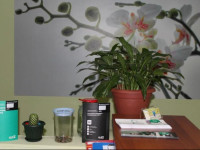Archi Hostel