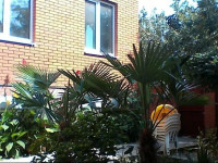 na Kurortnoy Guest House
