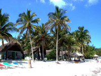 Cubanacan Cayo Levisa 